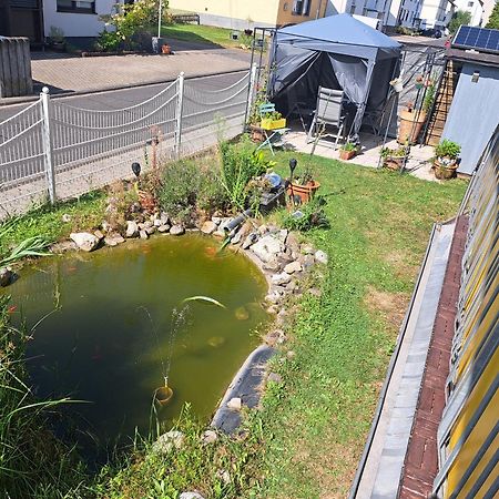 Ferienwohnung Hilgert Sankt Sebastian Exteriör bild