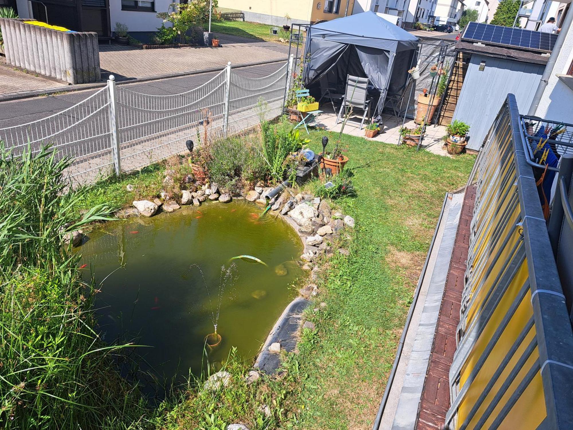Ferienwohnung Hilgert Sankt Sebastian Exteriör bild